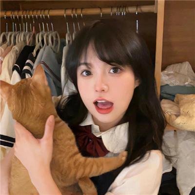 伏栗熊