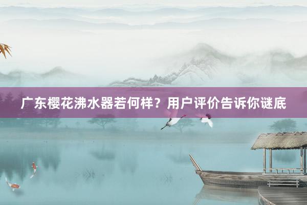 广东樱花沸水器若何样？用户评价告诉你谜底