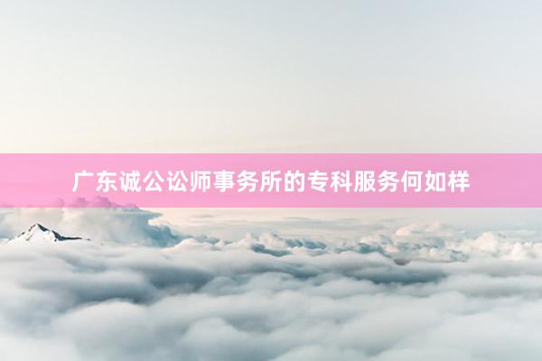 广东诚公讼师事务所的专科服务何如样