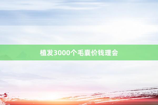 植发3000个毛囊价钱理会